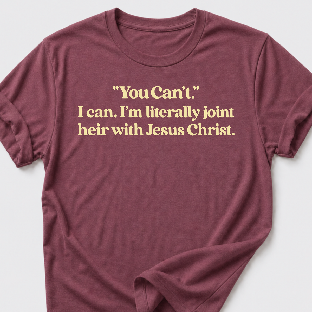 I can. T-Shirt